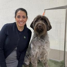 Jasper - Wirehaired Pointing Griffon