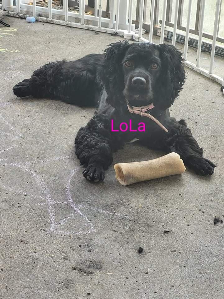 Lola