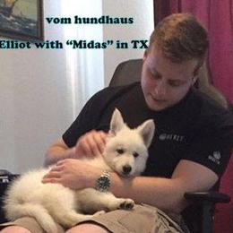Berger Blanc Suisse and German Shepherd Puppies from Vom Hundhaus German Shepherds