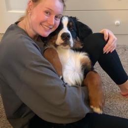 Bernese Mountain Dog Puppies from Lonesome Pine Farm