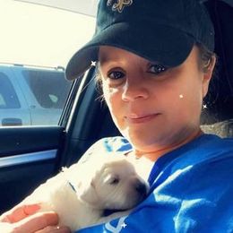 Golden Retriever Puppies from Golden Dust Retrievers