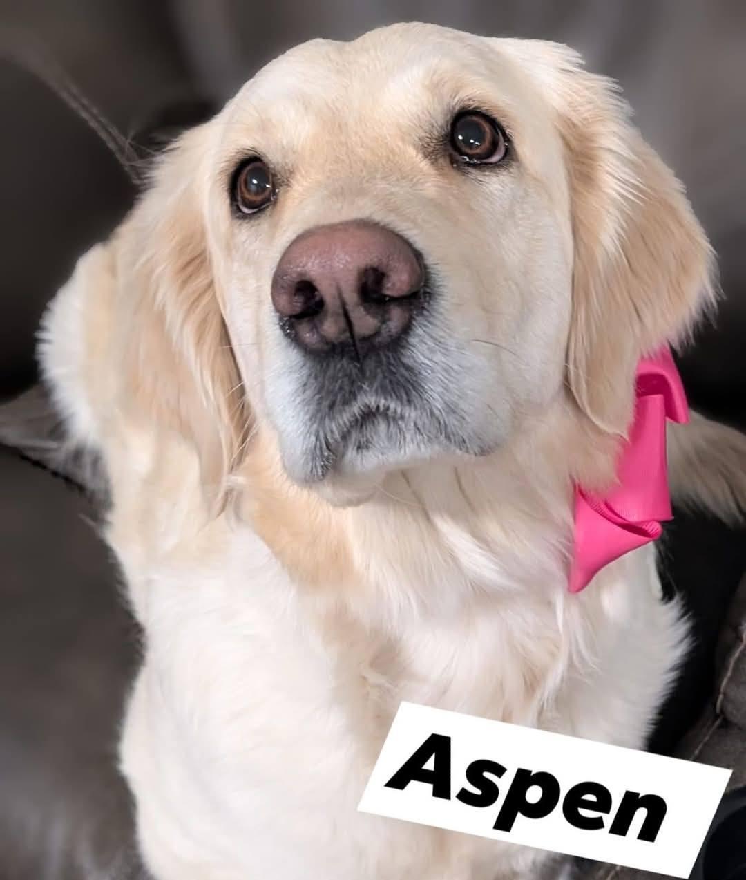 Aspen