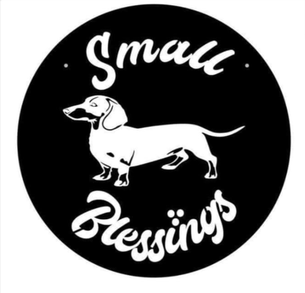 Dachshunds from Small Blessings