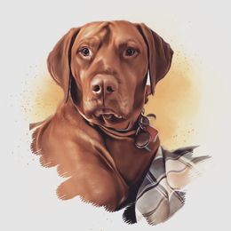 Bullitt - Vizsla