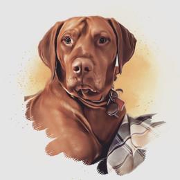 Bullitt - Vizsla