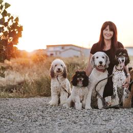 Bernedoodle, Goldendoodle, and Poodle Puppies from Northwest Pups