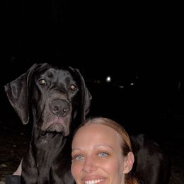 Vaeda - Great Dane