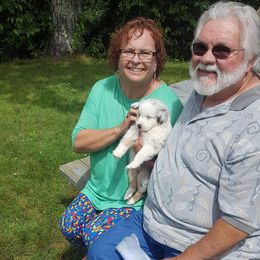 Australian Shepherd Puppies from Adams Family Aussies