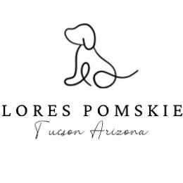 Pomskies from Florespomskies