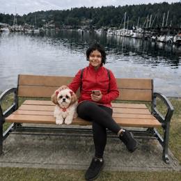 Starlight - White female Shih Tzu puppy in Port Orchard, Washington from Buttons N Bows