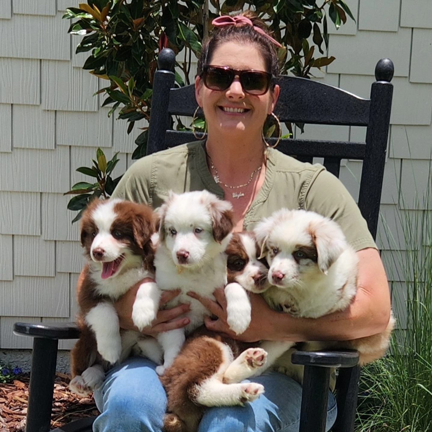 Australian Shepherd Puppies from Out of the Blue Aussies