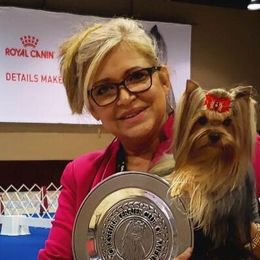 Yorkshire Terriers from Narnian Yorkies
