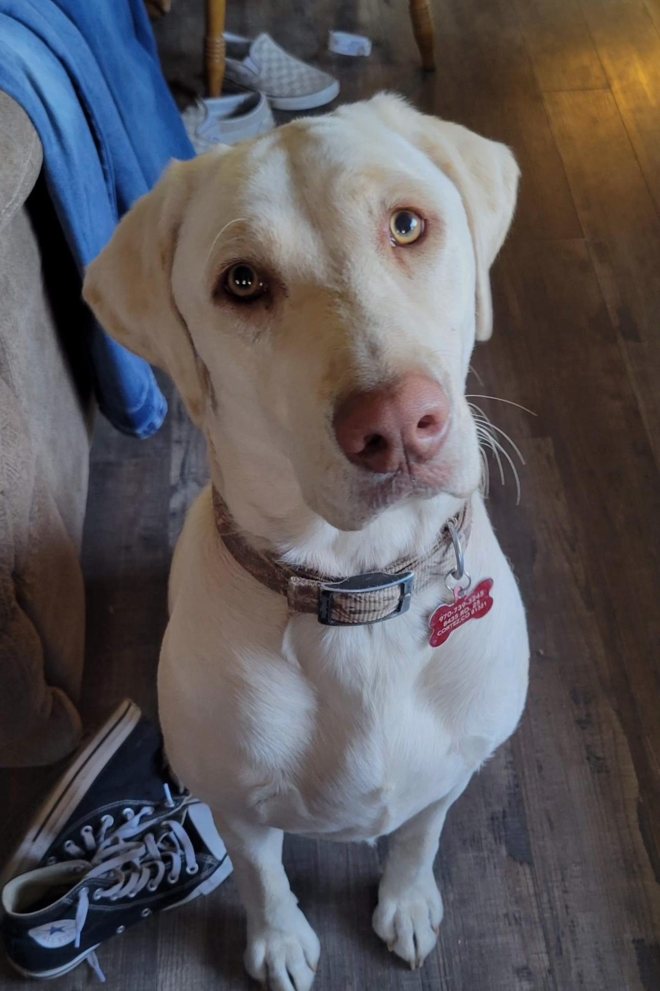Kaia