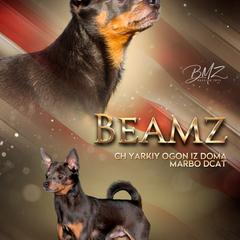 Russian Toys from BMZ Russian Toys