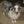 Unnamed