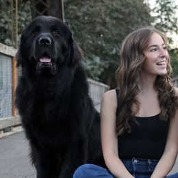 Newfoundlands from Willamette Valley Newfoundlands