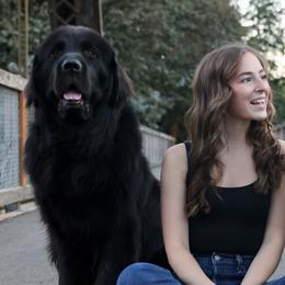 Newfoundlands from Willamette Valley Newfoundlands