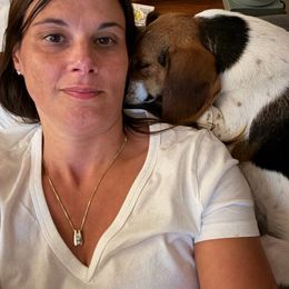 Beagle All Grown Up from Rustic Farm Sporting Beagles