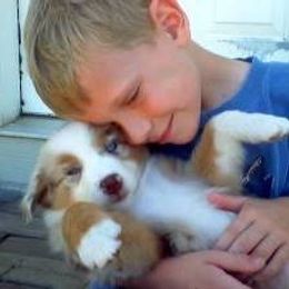 Australian Shepherd Puppies from Roanoak Australian Shepherds