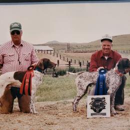 German Shorthaired Pointer All Grown Up from RADBACH KENNELS