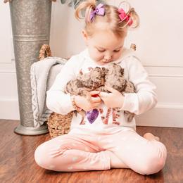 Bernedoodle and Goldendoodle Puppies from Hommel’s Mini Darling Doodles