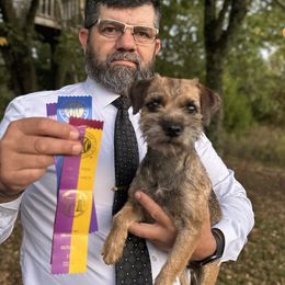 Agnes - Border Terrier