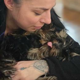 Amari - Yorkshire Terrier