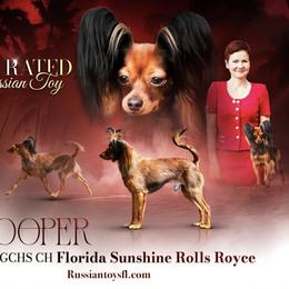 Russian Toy All Grown Up from FLORIDA SUNSHINE RUSSIAN TOYS