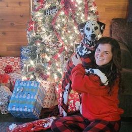 Basset Hound and Dalmatian Puppies from Lazy B Bassets and Dalmatians