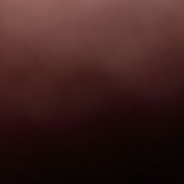 Diamond - Blue merle and white female Shetland Sheepdog puppy in Minnesota from Sheltie Puppies