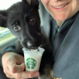 German Shepherd Puppies from Vom Chlex Haus
