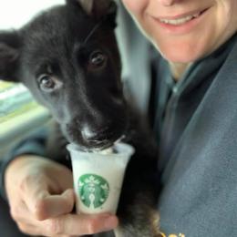 German Shepherd Puppies from Vom Chlex Haus