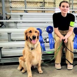 Golden Retrievers from Agnes Vandegrift