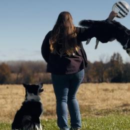 Border Collies from MOR. Caliber Border Collies