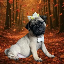 Pug Puppies from Lisa's Pugalicious Pugs