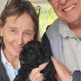 The G.O.A.T - Black and white Barbet puppy in New Bedford, Massachusetts from Barbie's Barbets