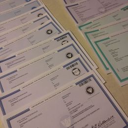 health test - German Shepherd