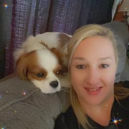 Cavalier King Charles Spaniel Puppies from Christina’s Cavaliers