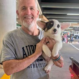 Luke Danes - Blue male Pembroke Welsh Corgi puppy in Shawnee, Oklahoma from Sunray Ranch