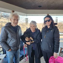 German Shepherd Puppies from Von Hoene Heritage Shepherds