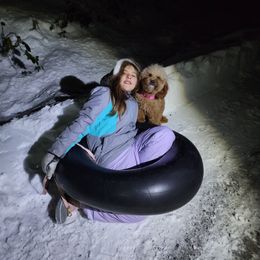 Cavapoo, Maltese, Maltipoo, and Poodle Puppies from Mt.BakerPoodles&Doodles