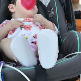 Toy Australian Shepherd All Grown Up from The Ranch of the Sun Toy Aussies