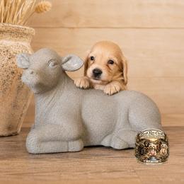 Hudson - Cream male Dachshund puppy in Greenfield, Ohio from Buck Run Creek Dachshunds