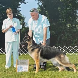 "Lucy - BOW New York 2021" German Shepherd All Grown Up from Karen Nelson's German Shepherds