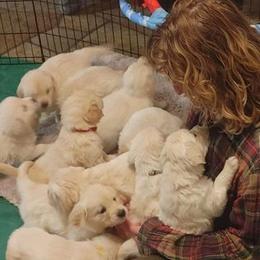 Golden Retriever Puppies from Mountain Sky Goldens   https://youtu.be/30SVQesEtig?si=CMjASv_Tza1VKSNt