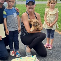 Shih Tzu Puppies from N.F.S.T Imperial ShihTzu Puppies.