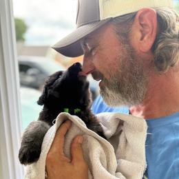 Meadow - Black male Shiloh Shepherd puppy in Bartlett, Tennessee from The Mighty Quinn Shilohs