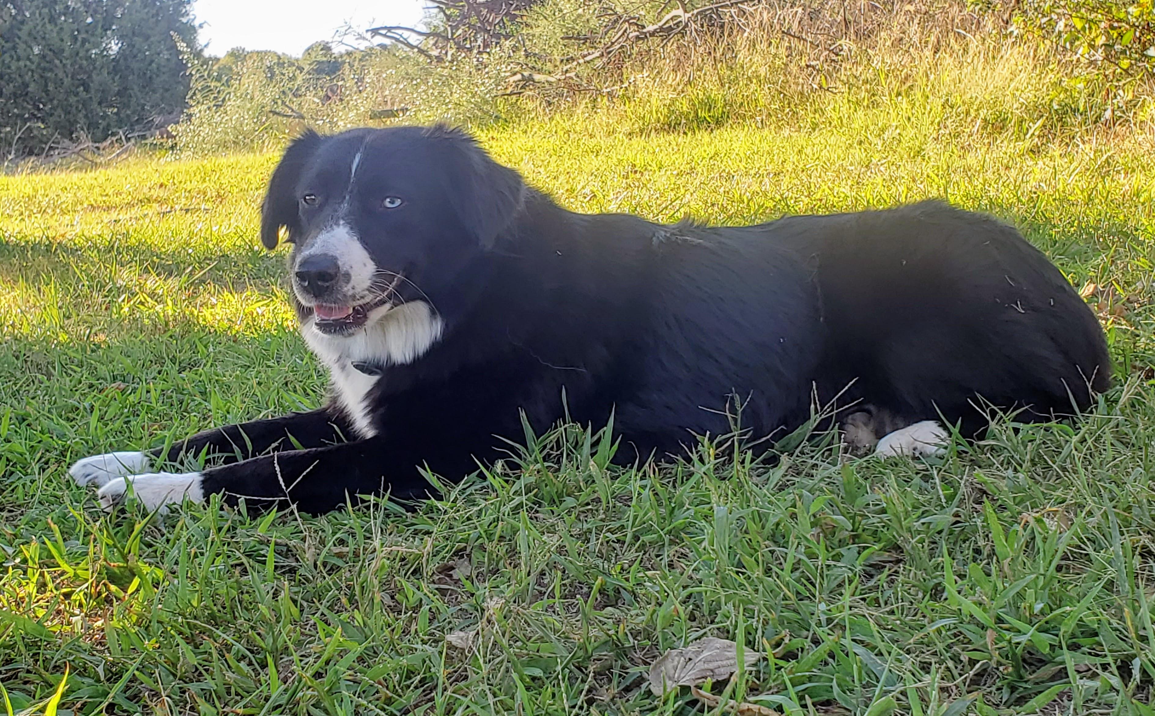 Roxy
