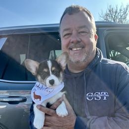 American Corgi and Pembroke Welsh Corgi Puppies from High Cotton Corgis