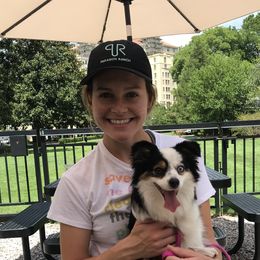 Addy - Miniature American Shepherd
